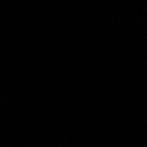 Meet your Posher, Selena